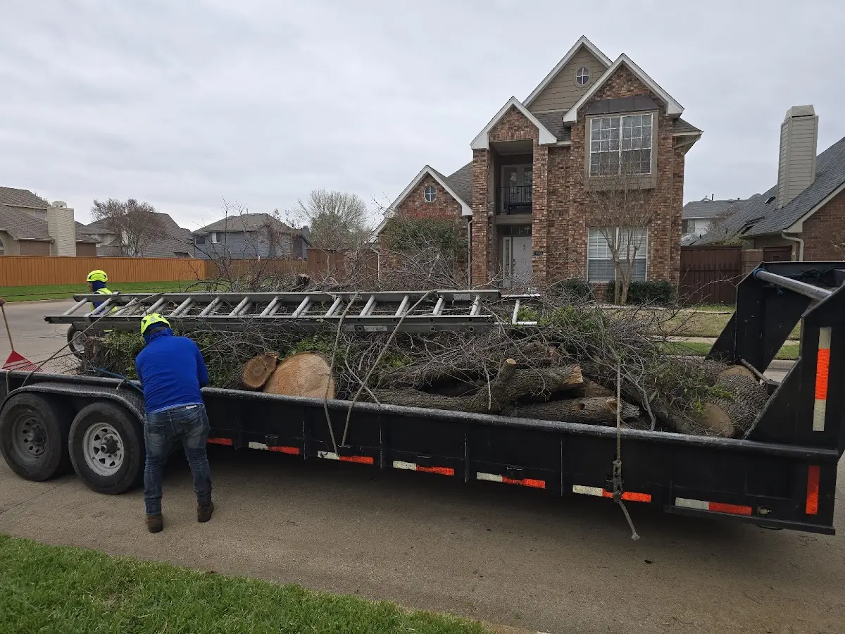 Expert Tree Removal with proper safety equipment in Edgemont